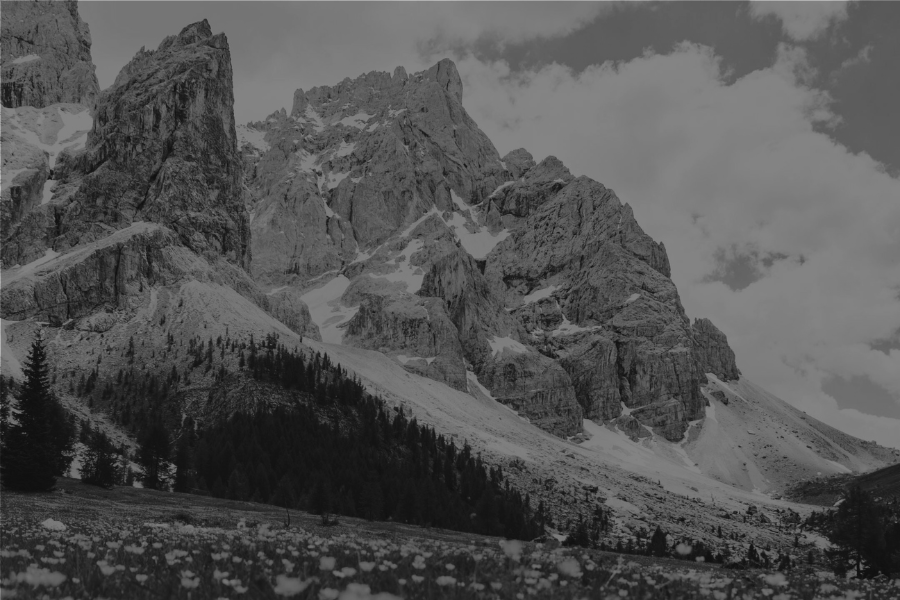 Mountains and Flowers