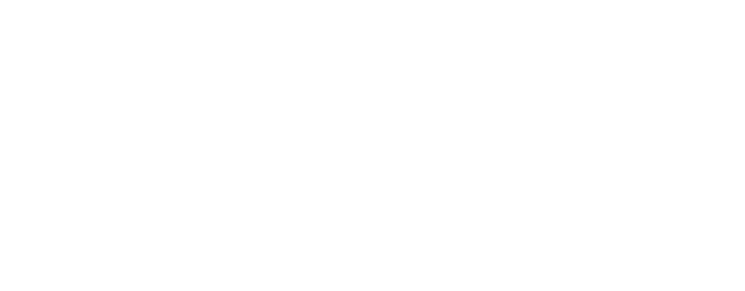 insurance-innovators-usa-logo-white